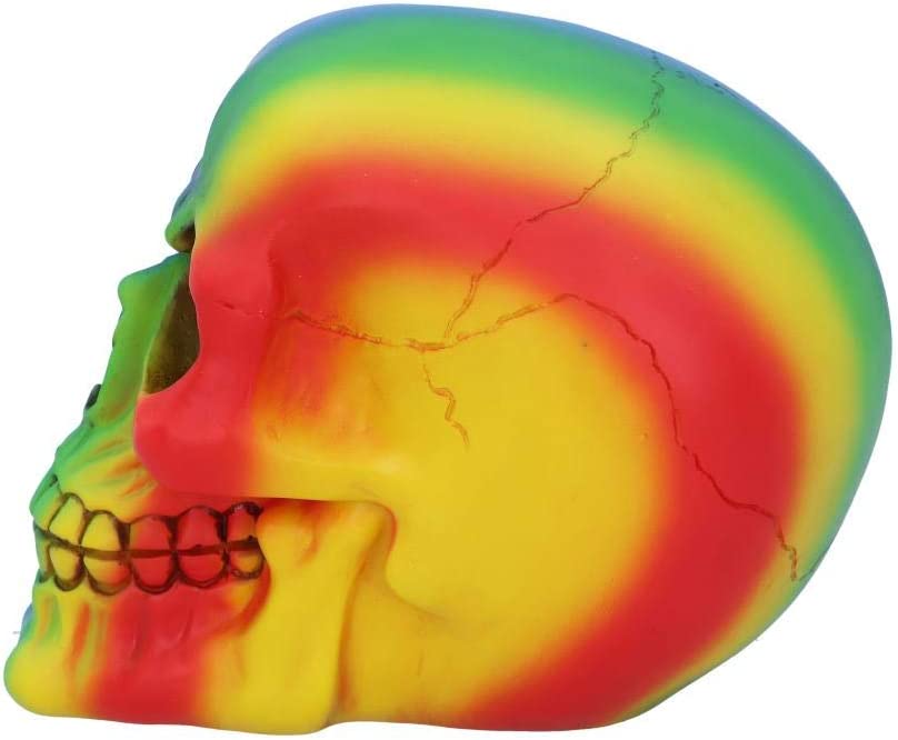 Nemesis Now U5084R0 Regenbogenschädel, 15,5 cm, Polyresin, mehrfarbig, Einheitsgröße
