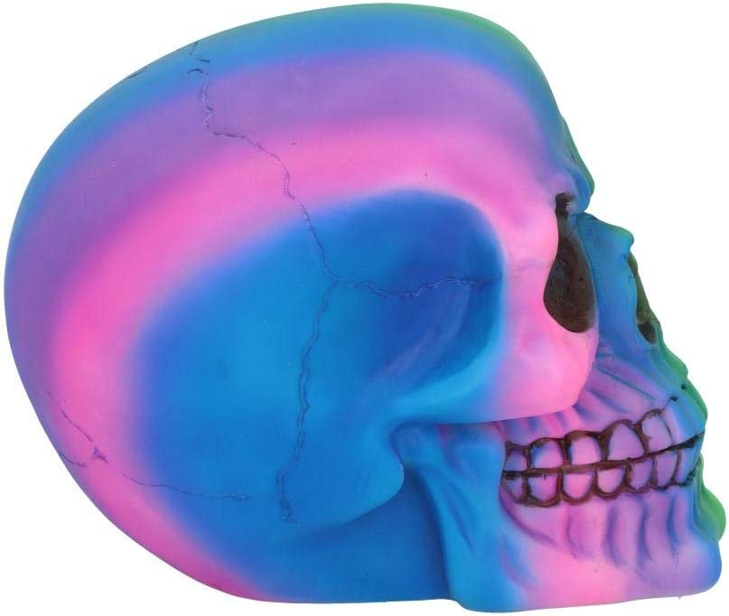 Nemesis Now U5084R0 Regenbogenschädel, 15,5 cm, Polyresin, mehrfarbig, Einheitsgröße