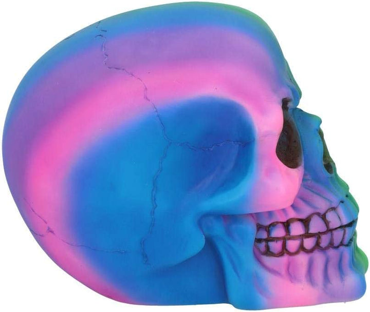 Nemesis Now U5084R0 Regenbogenschädel, 15,5 cm, Polyresin, mehrfarbig, Einheitsgröße