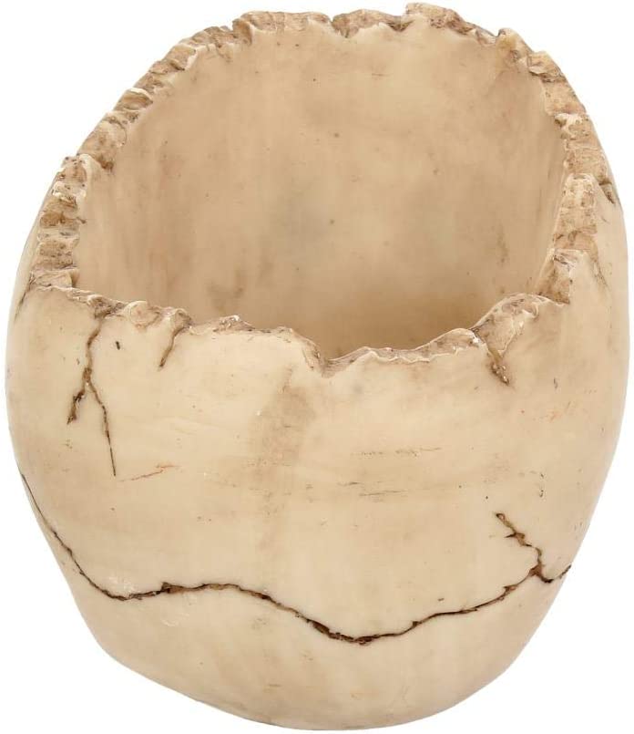Nemesis Now Lobo Aschenbecher 13,5 cm Elfenbein