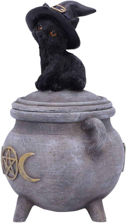 Nemesis Now Kitty's Brew 14 cm, Grau