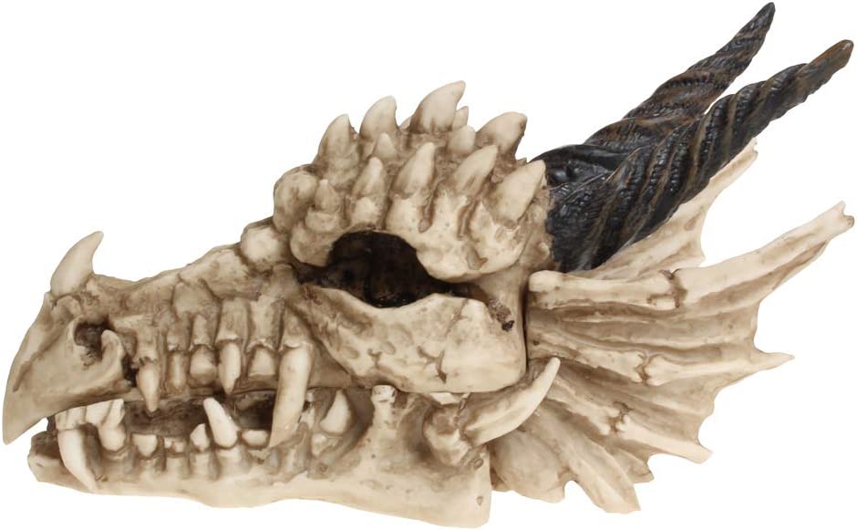 Nemesis Now AL50057 Drachenschädel-Box, 15 cm, Elfenbeinfarben