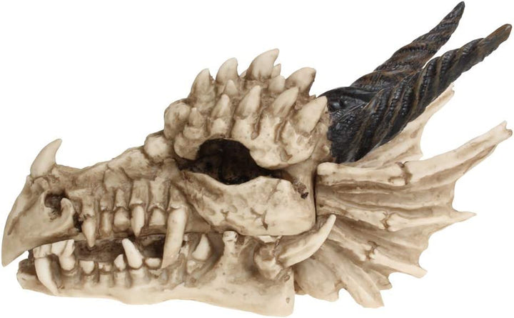 Nemesis Now AL50057 Drachenschädel-Box, 15 cm, Elfenbeinfarben