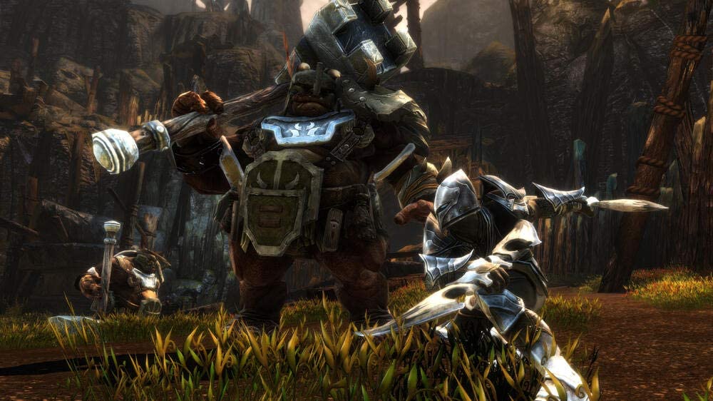 Königreiche von Amalur: Re-Reckoning (PS4)
