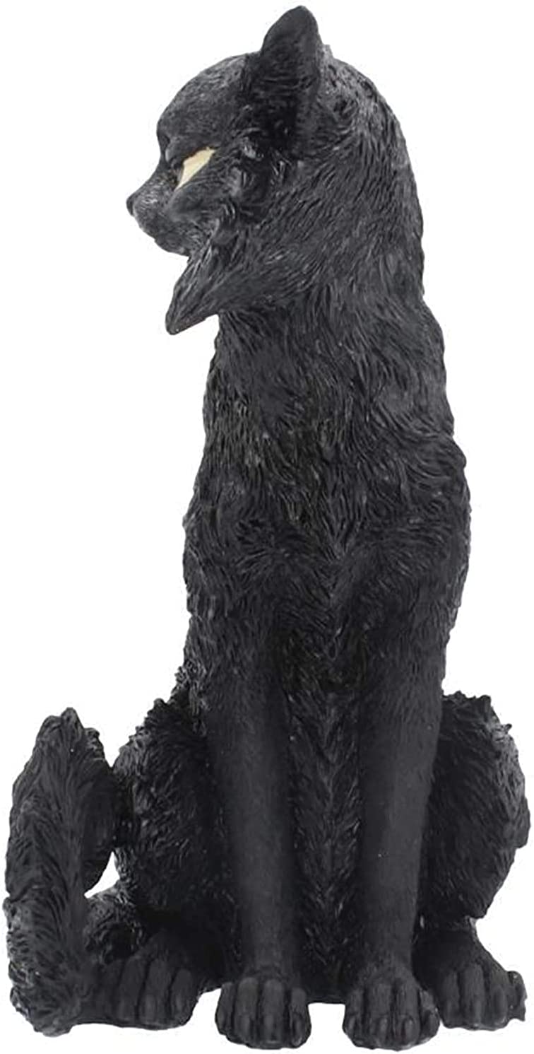 Nemesis Now Cats of the Coven - Salem Witch's Familiar Black Cat Figurine 5