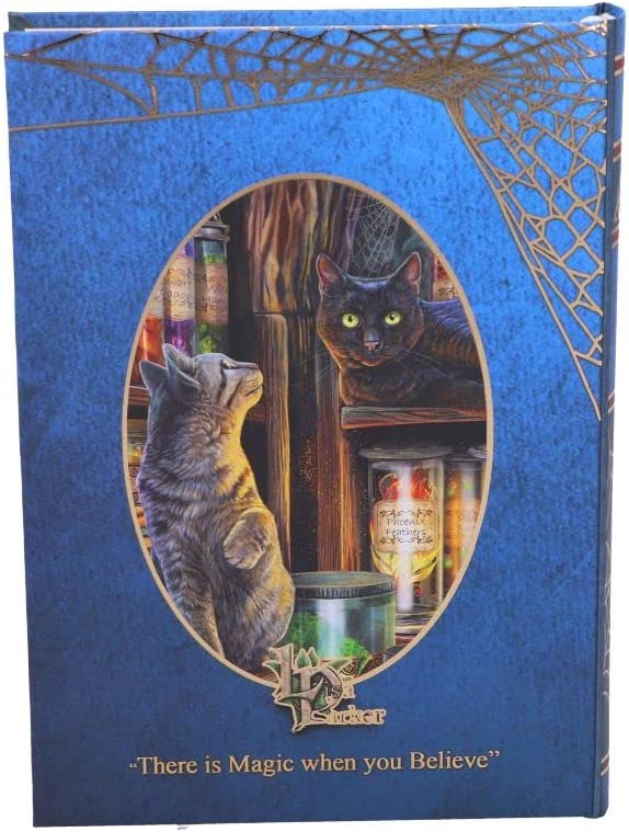 Nemesis Now Lisa Parker Magical Emporium Tagebuch, mehrfarbig, 17 cm