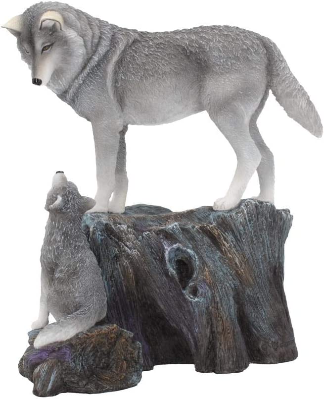Nemesis Now B4334M8 Guidance 25 cm Lisa Parker Figur, Kunstharz, Grau