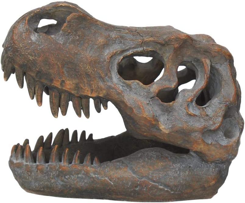 Nemesis Now Tyrannosaurus Rex Totenkopf, freistehende Figur, 18,5 cm, Grau