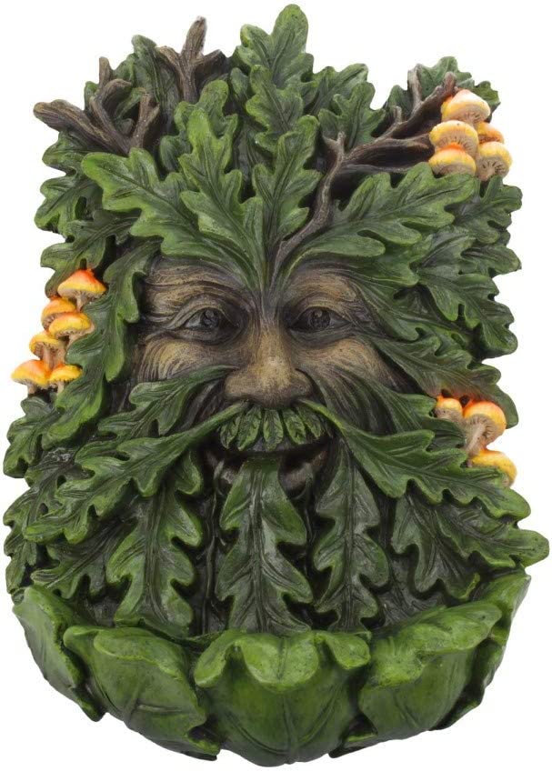 Nemesis Now D4267M8 Holunderholz-Wandschild, 19 cm, Grün, Polyresin, 23,8 cm