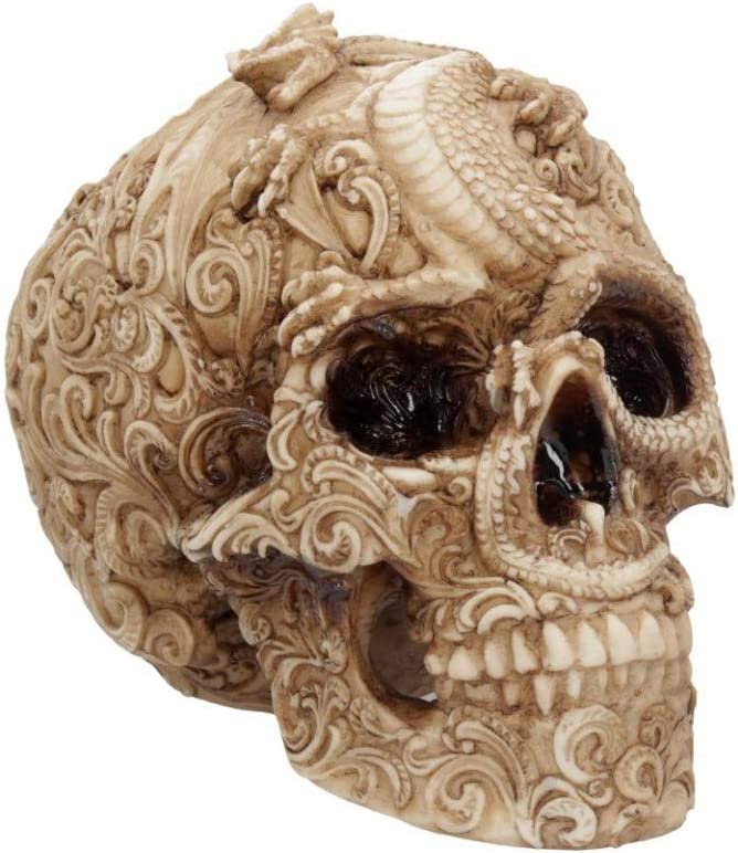 Nemesis Now Cranial Drakos 19,5 cm, Harz, Elfenbein, Einheitsgröße