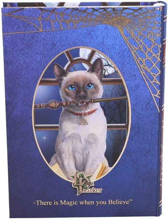 Nemesis Now Lisa Parker Hocus Pocus Tagebuch, mehrfarbig, 17 cm