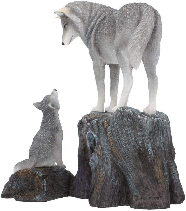 Nemesis Now B4334M8 Guidance 25 cm Lisa Parker Figur, Kunstharz, Grau