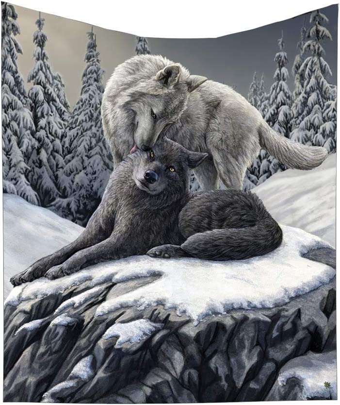 Nemesis Now Snow Kisses Lisa Parker Überwurf, 38 cm, Polyester, Grau, 160 cm