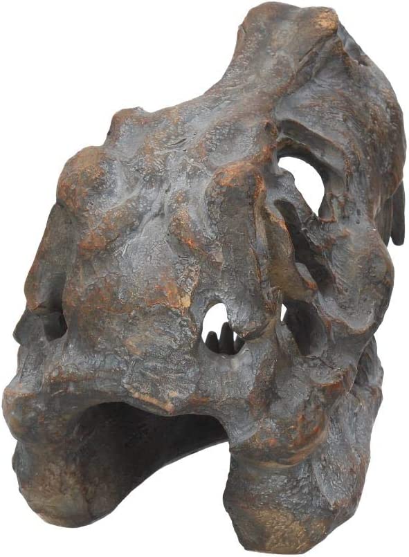 Nemesis Now Tyrannosaurus Rex Totenkopf, freistehende Figur, 18,5 cm, Grau