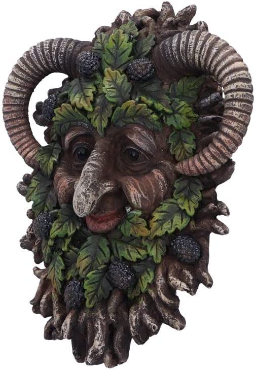 Nemesis Now Spruce Tree Spirit Wandschild, Braun, 20,8 cm
