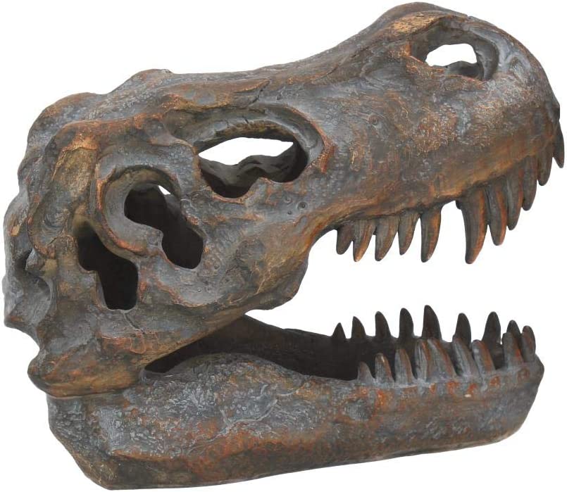 Nemesis Now Tyrannosaurus Rex Totenkopf, freistehende Figur, 18,5 cm, Grau