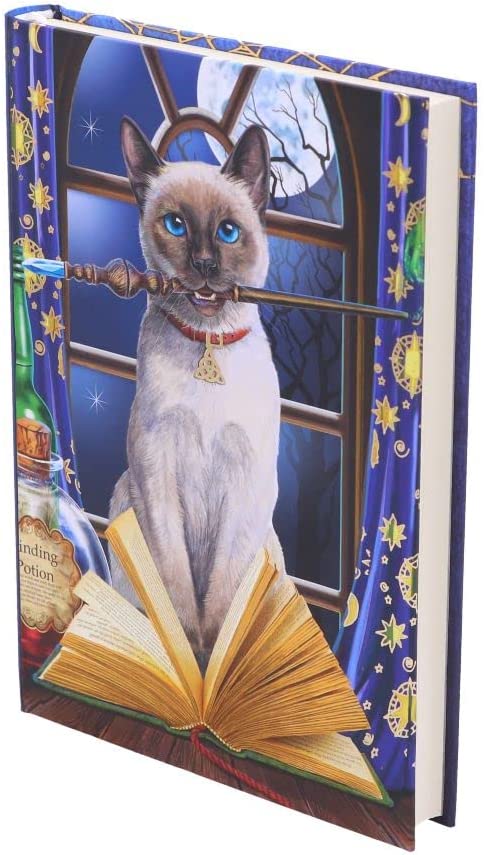Nemesis Now Lisa Parker Hocus Pocus Tagebuch, mehrfarbig, 17 cm