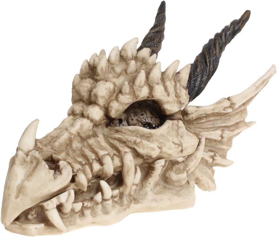Nemesis Now AL50057 Drachenschädel-Box, 15 cm, Elfenbeinfarben