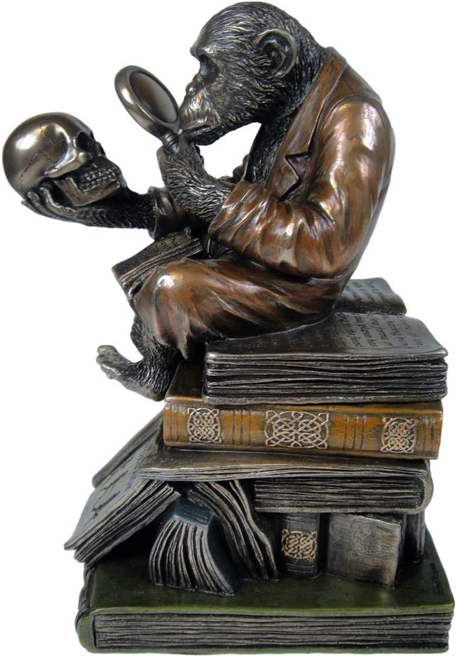 Nemesis Now Darwinism of Evolutionary Theory Box 17,5 cm Bronze, Harz