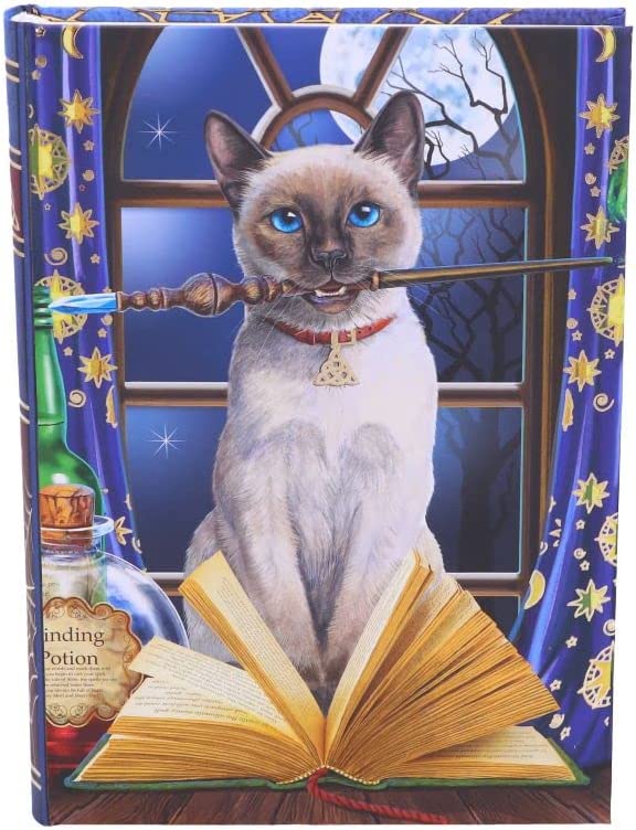 Nemesis Now Lisa Parker Hocus Pocus Tagebuch, mehrfarbig, 17 cm