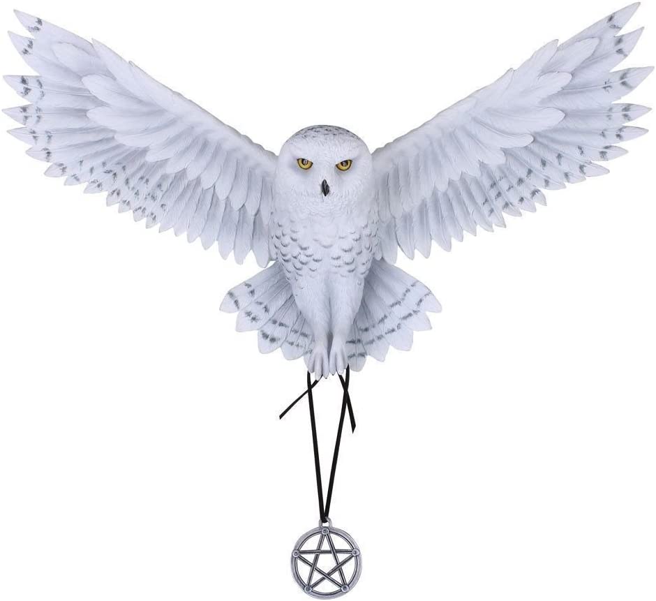 Nemesis Now Awaken your Magic Anne Stokes Wandschild, 45 cm, Weiß, Kunstharz, Einheitsgröße