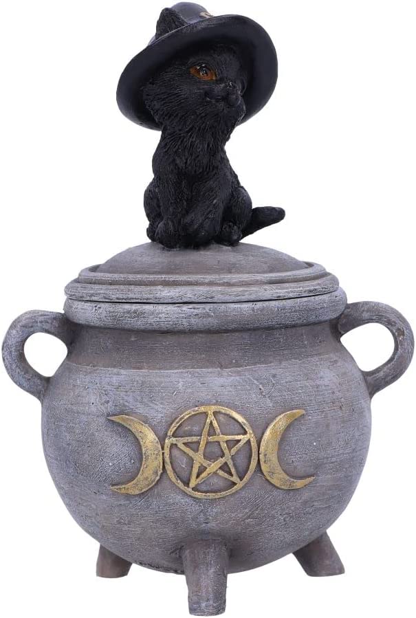 Nemesis Now Kitty's Brew 14 cm, Grau