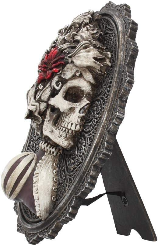 Nemesis Now Wunderschönes Wandschild, 22 cm, Grau, Polyresin