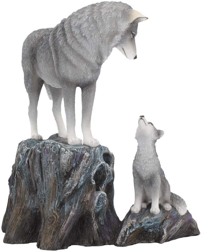 Nemesis Now B4334M8 Guidance 25 cm Lisa Parker Figur, Kunstharz, Grau