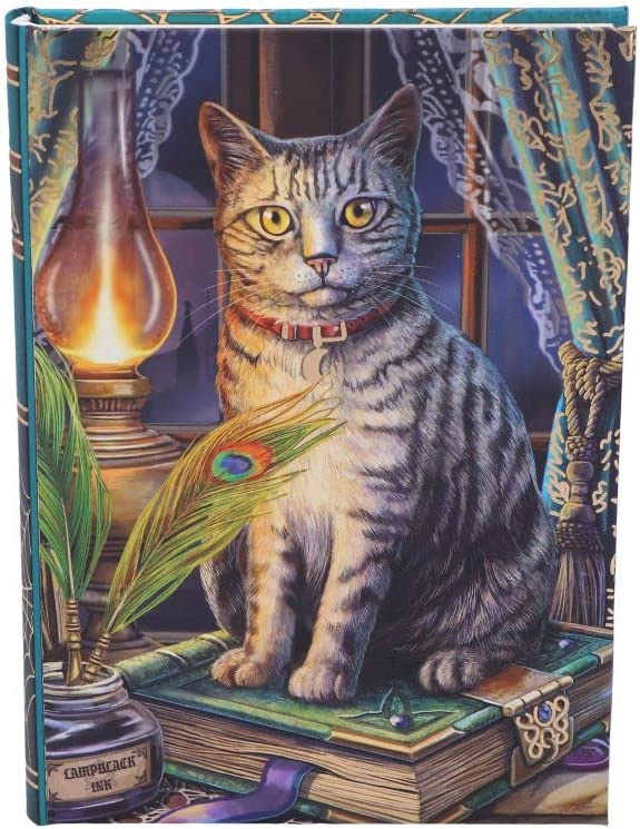 Nemesis Now Lisa Parker Book of Shadows Tagebuch, mehrfarbig, 17 cm