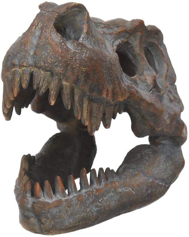 Nemesis Now Tyrannosaurus Rex Totenkopf, freistehende Figur, 18,5 cm, Grau