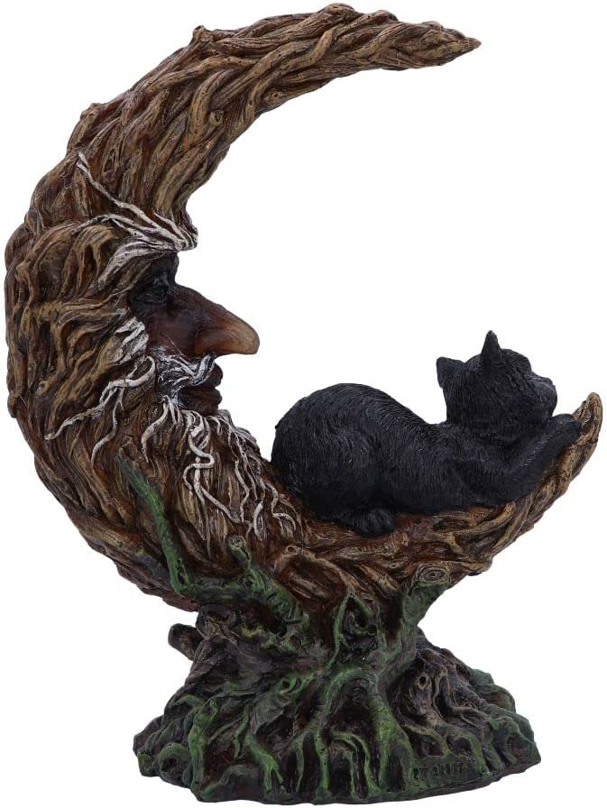 Nemesis Now Familiar Slumber 21,2 cm, Braun