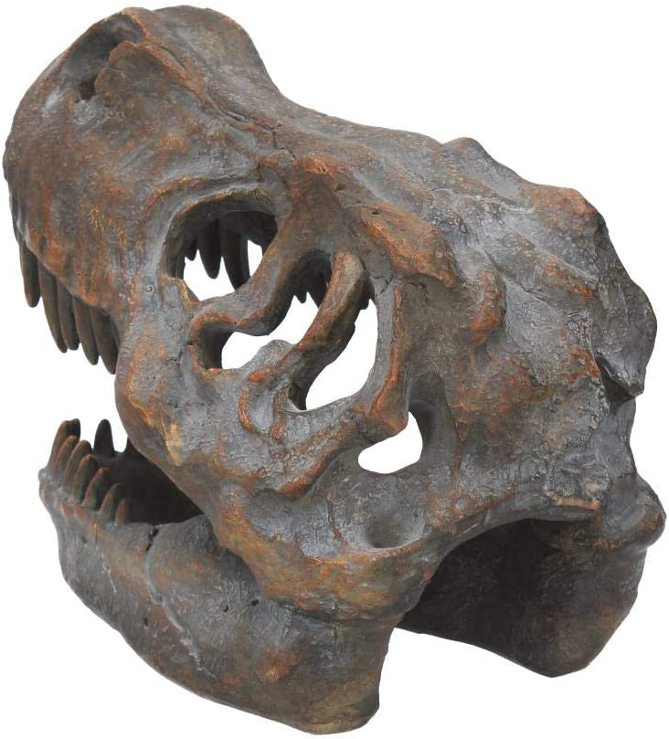 Nemesis Now Tyrannosaurus Rex Totenkopf, freistehende Figur, 18,5 cm, Grau