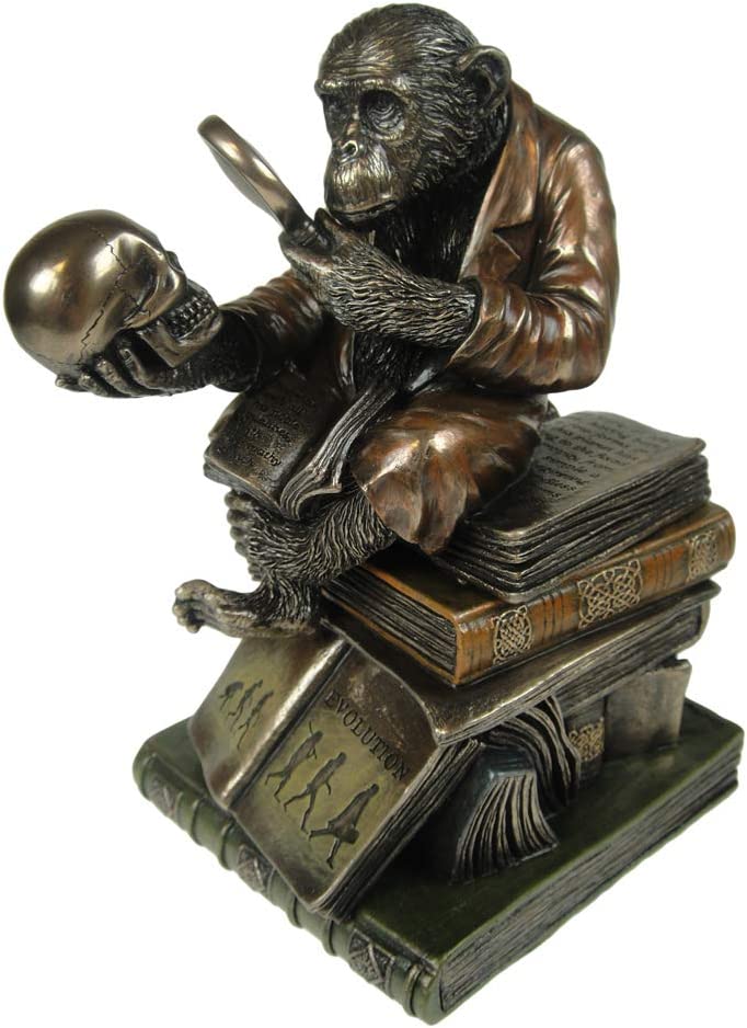 Nemesis Now Darwinism of Evolutionary Theory Box 17,5 cm Bronze, Harz