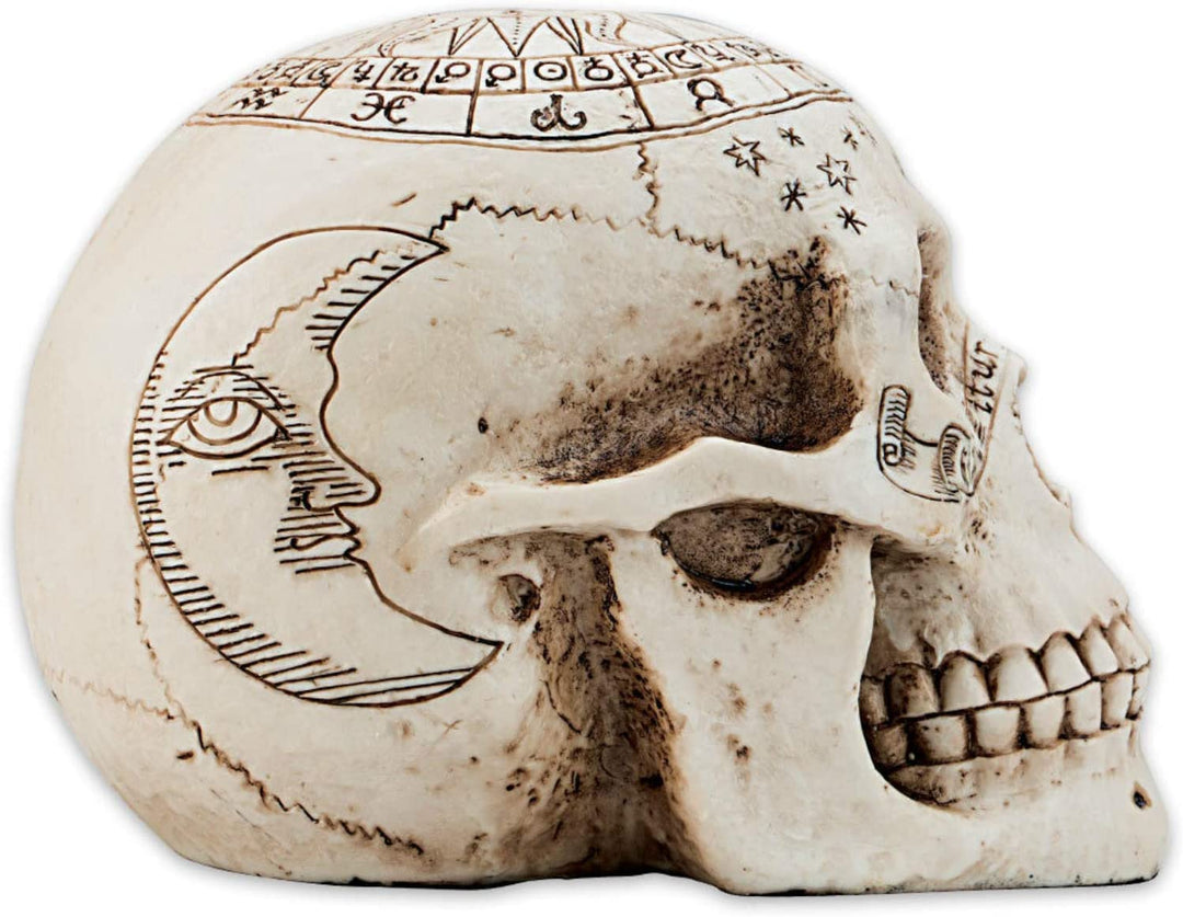 Nemesis Now Astrologische Totenkopffigur, 29 cm, Elfenbeinfarben