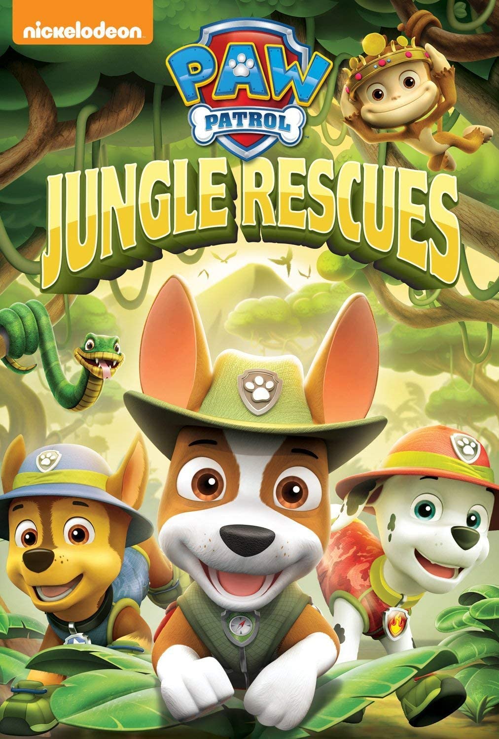 Paw Patrol: Rettung im Dschungel [DVD]