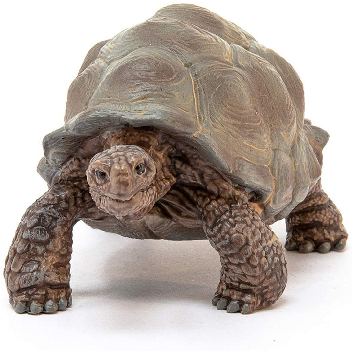 Schleich 14824 Tartaruga Gigante Wild Life