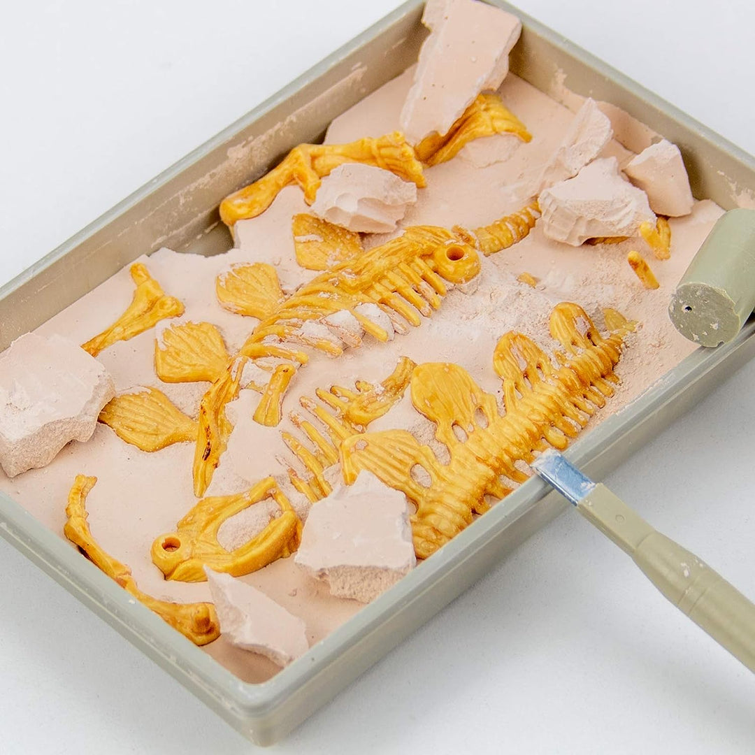 Science4you – Stegosaurus-Fossilien-Grabset für Kinder ab 6 Jahren – Ausgraben und zusammenbauen