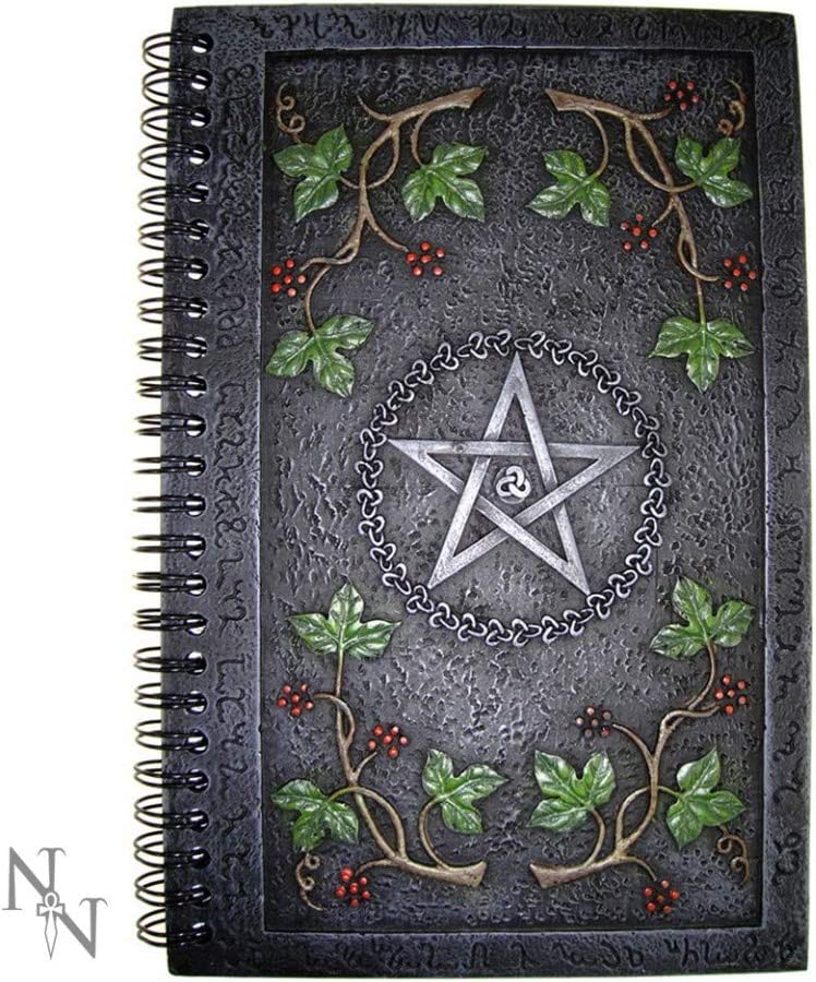 Nemesis Now Wicca-Buch der Schatten, 24 cm, Grau, NOW001