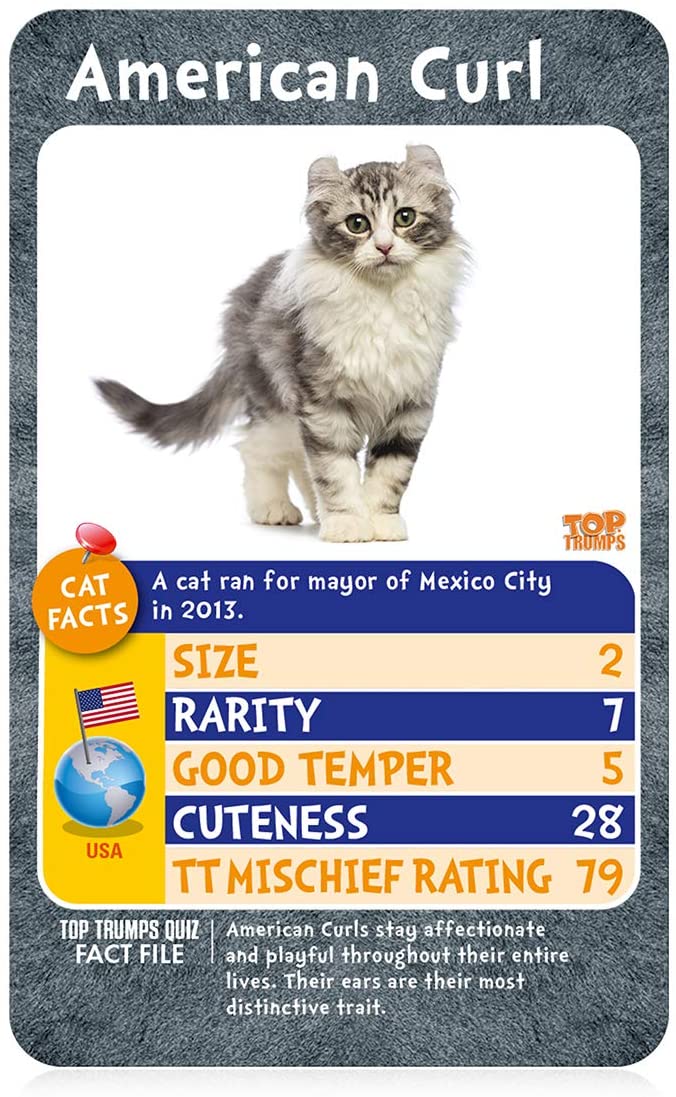 Top Trumps Cats Who is Most Mischievous Card Game 4