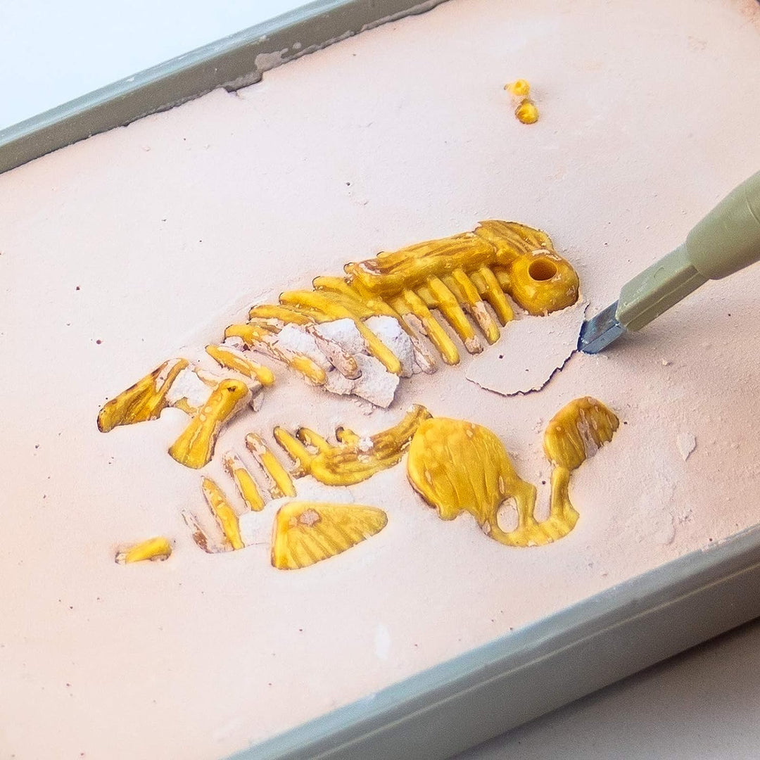 Science4you – Stegosaurus-Fossilien-Grabset für Kinder ab 6 Jahren – Ausgraben und zusammenbauen