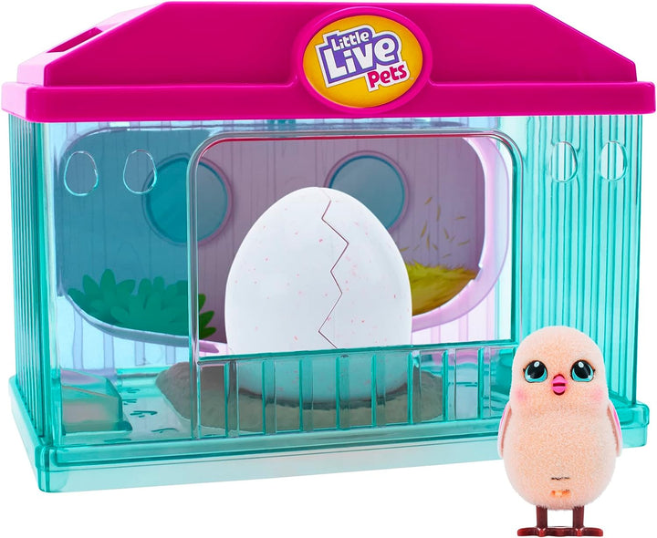 Little Live Pets 26450 Überraschungs-Küken-Bruthaus