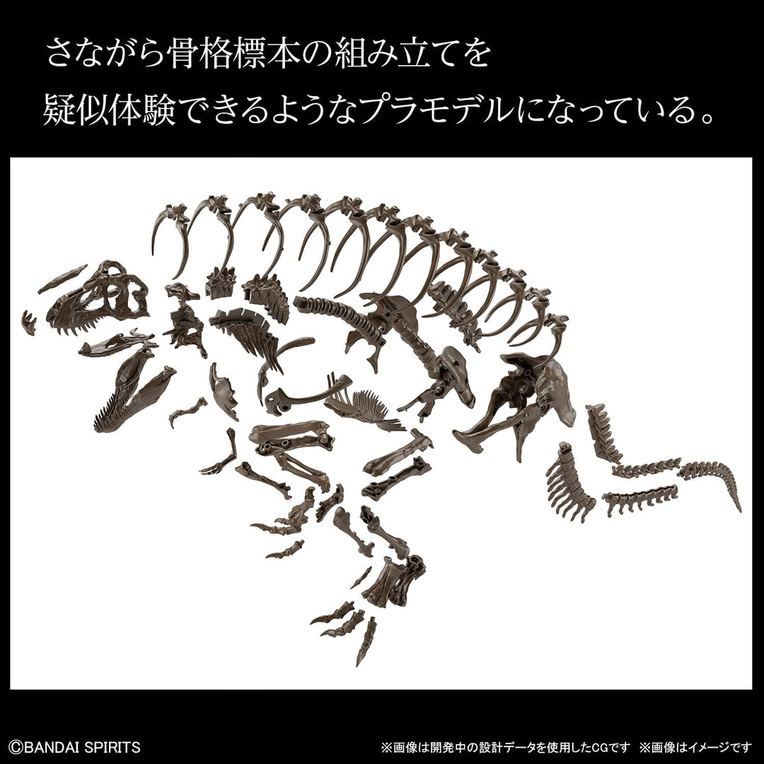 BANDAI – 1/32 Imaginärer Skelett-Tyrannosaurus – Modellbausatz