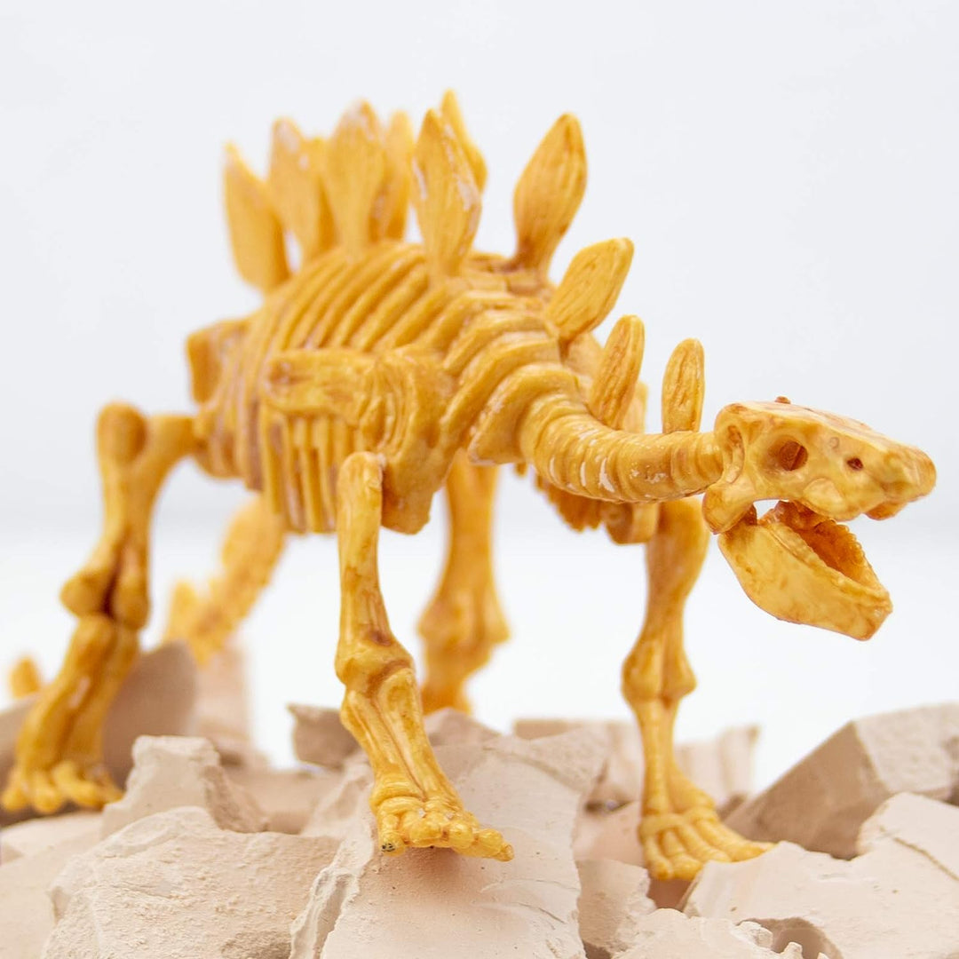 Science4you – Stegosaurus-Fossilien-Grabset für Kinder ab 6 Jahren – Ausgraben und zusammenbauen