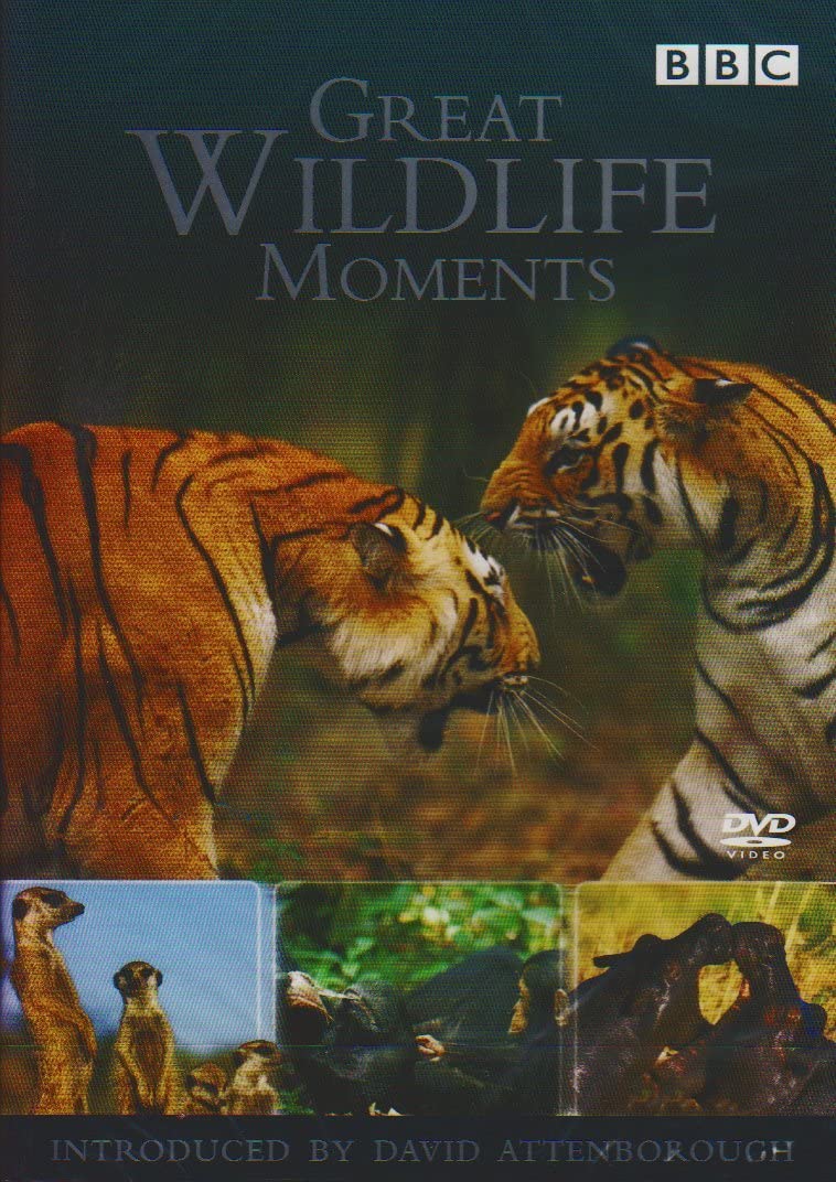 Großartige Momente in der Tierwelt, vorgestellt von David Attenborough