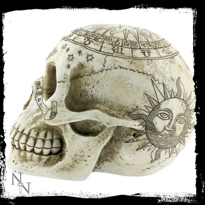Nemesis Now Astrologische Totenkopffigur, 29 cm, Elfenbeinfarben