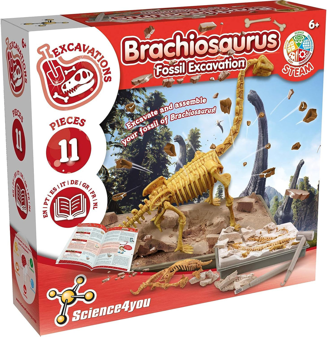Science4you – Brachiosaurus-Fossilien-Grabset für Kinder ab 6 Jahren – Ausgraben und Zusammenbauen
