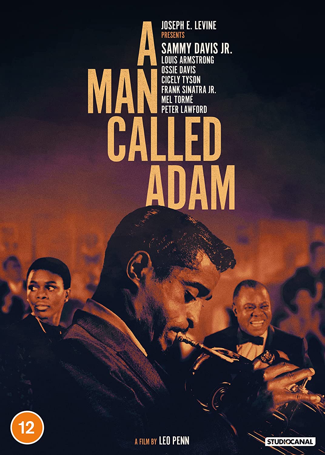 Ein Mann namens Adam – Drama [DVD]