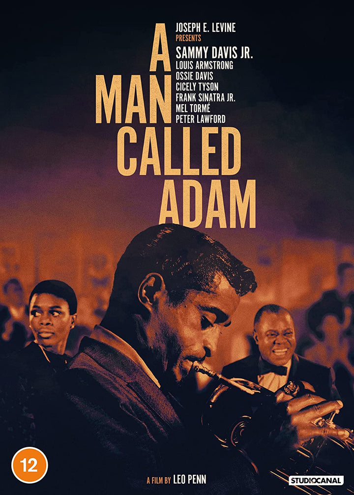 Ein Mann namens Adam – Drama [DVD]