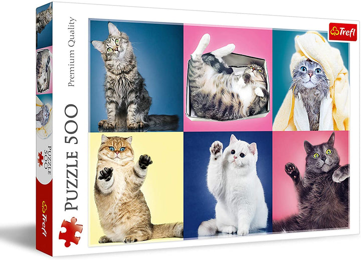 Trefl 37377 Puzzle-Spiel besteht aus 500 hochwertigen Teilen