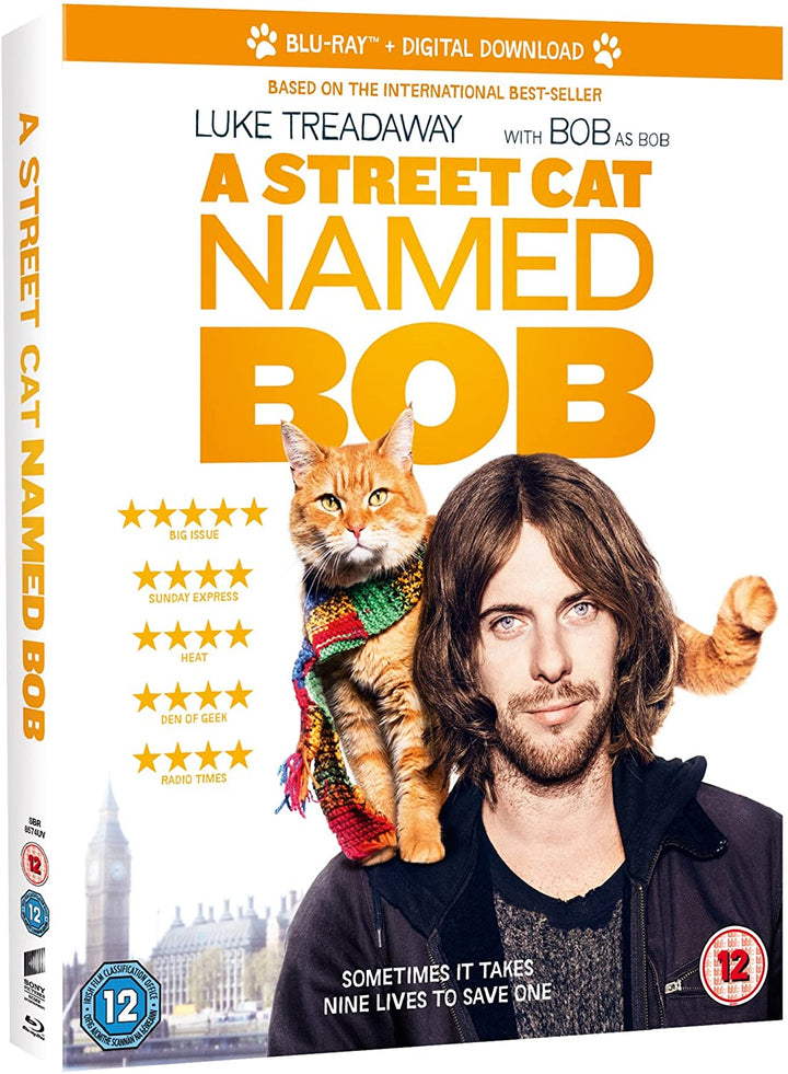 Eine Straßenkatze namens Bob [2016] [Region Free]